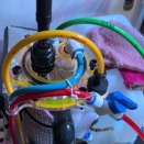 お疲れなのでとりあえず水槽動画だけでも