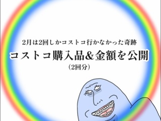 2月は2回しかコストコに行かなかった奇跡。コストコ購入品&金額を公開！（2回分）