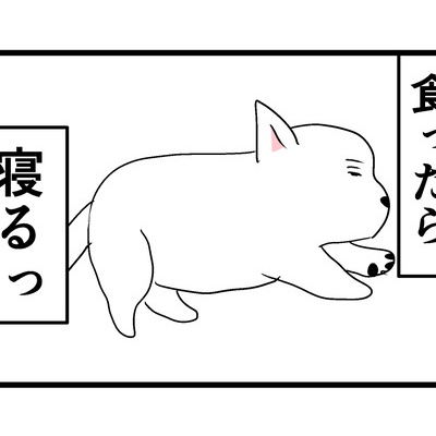 人間も犬も苦手なもの ちーちゃんっ