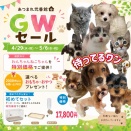 今日からGW‼️‼️