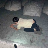 『影響力 (原田健太郎)』の画像