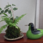 Alex's Garden Party♪