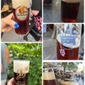 Bier