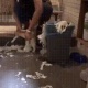 猫を飼いたいんだけど