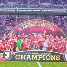 アントラーズ優勝おめでとう！