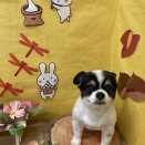⭐︎トリミング⭐︎