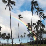 『No rain, no rainbows』の画像