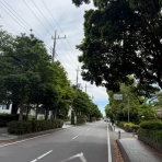 本家智樹 自分の事は棚に上げて