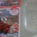 去年失敗したダイソーの鈴なりトマト