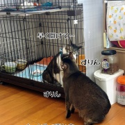 嵐の前にすること。