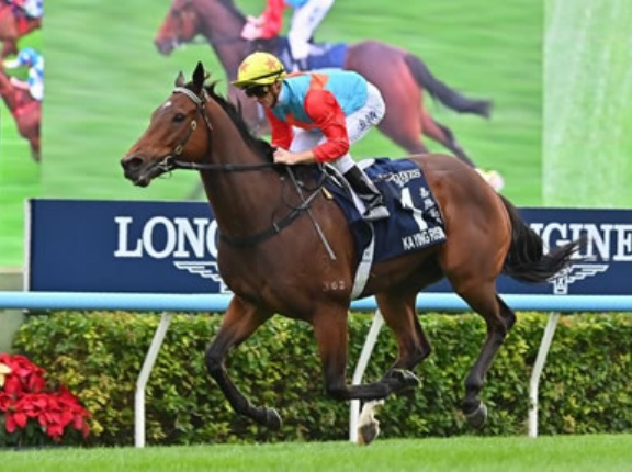 カーインライジング 連勝記録を17に伸ばす