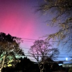 子供3人、元リケジョ転勤妻の奮闘記