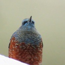 今や磯から街へ・・。