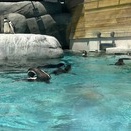天王寺動物園
