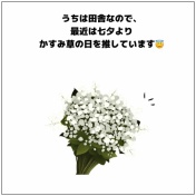 【花屋さんに聞いた！】七夕あるある🎋⭐️