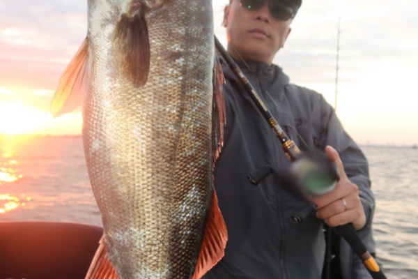 TOKYOBAY FISHING GUIDE SERVICE Glory(グローリーフィッシング) - リール