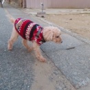 心の準備が・・・