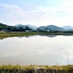 房総の不動産会社 エンゼル不動産房総店リゾート日記