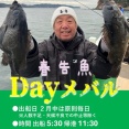 DAYメバル開幕！