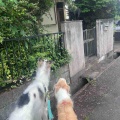空気読める子読めない子。
