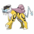 『【ORAS】CS特殊AT眼鏡ライコウの調整』の画像