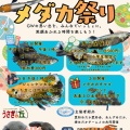 愛知メダカ愛好会の2つのイベント案内