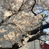 『一歩遅かった😭 vol.4343』の画像