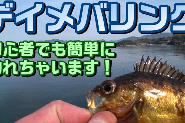 釣りつべちゃんねる メバリング 釣りつべちゃんねる メバリング
