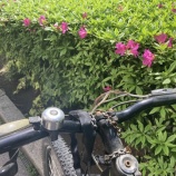 『ひどい壊れ方をしたマイ自転車　vol.4356』の画像