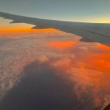 『創造性を発揮する』の画像