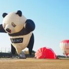 ���뼯�Х롼��ե����ƥ��Х�  �θ����٤β���