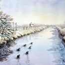 2026.01 冬の川（糸島市雷山川）