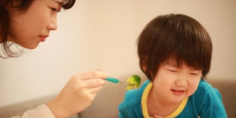 子供が2歳後半なのに食べたいものだけ自分で食べて、最後まで食べず途中から私が食べさせ雛鳥状態に。今年からお弁当持参のプレに行くのに、どうしよう…