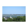 20260330なばなの里でチューリップまつりを楽しむ