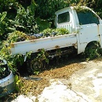 fujnkaiのﾌﾞﾛｸﾞ千葉県北総東総房総たまに茨城県をずでんしゃやバイクで景色でし☆