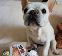 福は内！福は内！