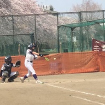 山梨中央リトルグレープリーグ