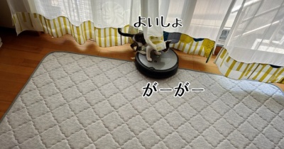 ルンバライダー候補生