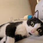 よく死によく落ちよく迷う