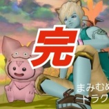 『まみむめもっちのドラクエ10日記　ー完ー』の画像