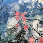 塩原温泉　彩つむぎ　女将の独り言