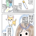 チワワのトウナ♪だいありー