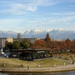 たかシェフのおうちごはん。と、白い犬。と、チワワ。