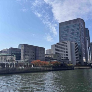 メルロコ一家の横須賀ストーリー