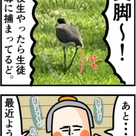 鳥たちが大大大好きになった最近の仲間を紹介します