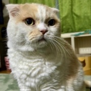 3匹を連れて獣医さんから帰る時に天気が急変