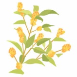 『【さけダイアリー】9月13日～9月19日　今週の予定』の画像