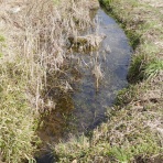 富士山トンボ池通信