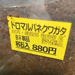 夏のレプリカ