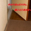 猫に小判を与えたら。 埋蔵金:千八百伍拾伍両 仮眠・・・ここはサービスぅエリアかぁっ!